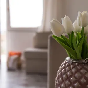  Appartamento Il Sole In Casa